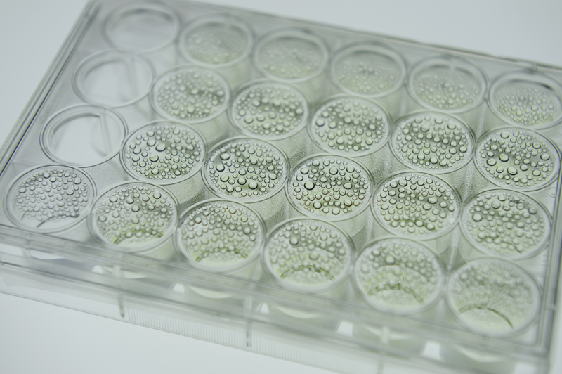 Illustration for article titled Why Algae Could Be the Greatest—and Trickiest—Fuel Source of All